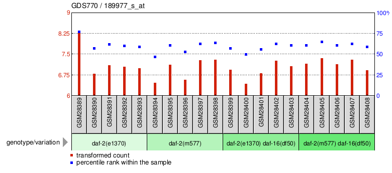 Gene Expression Profile