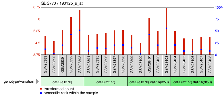 Gene Expression Profile