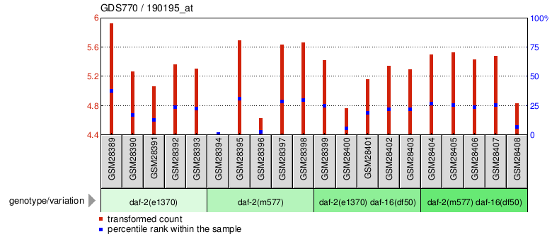 Gene Expression Profile