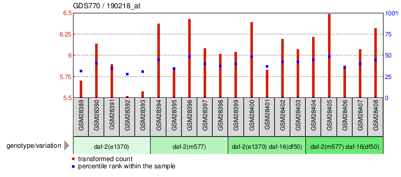 Gene Expression Profile