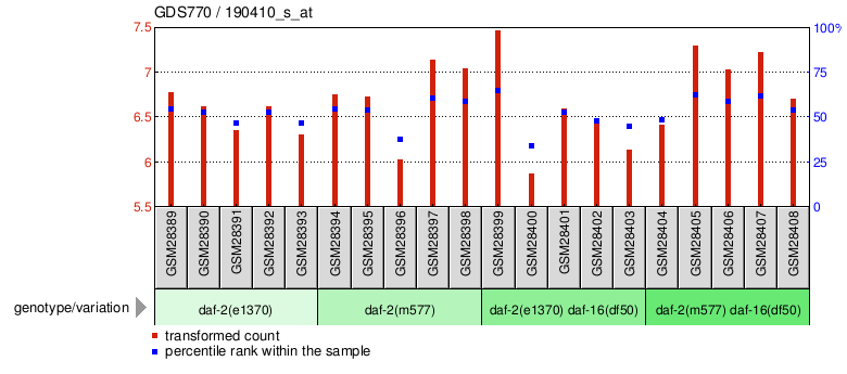 Gene Expression Profile