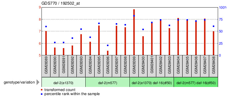 Gene Expression Profile