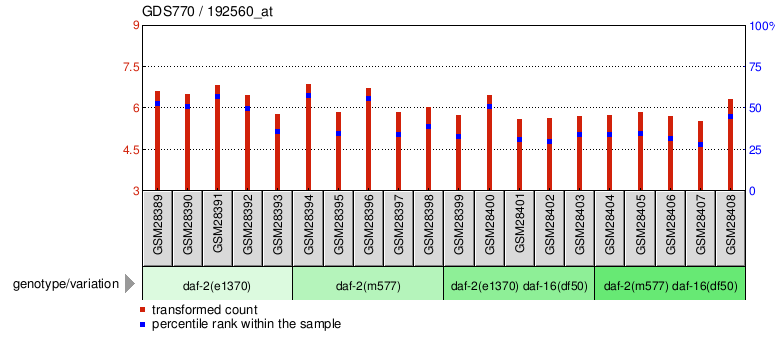 Gene Expression Profile