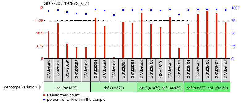 Gene Expression Profile