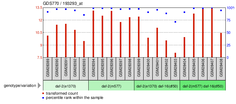 Gene Expression Profile