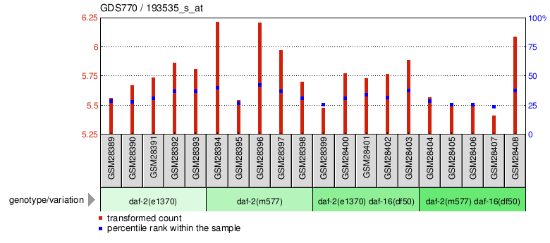 Gene Expression Profile