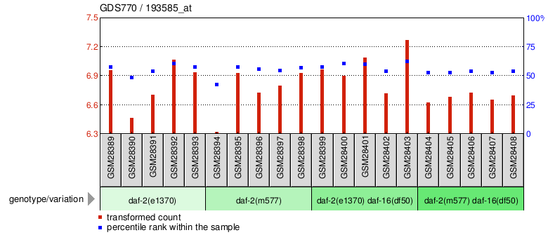 Gene Expression Profile