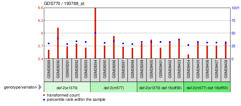 Gene Expression Profile