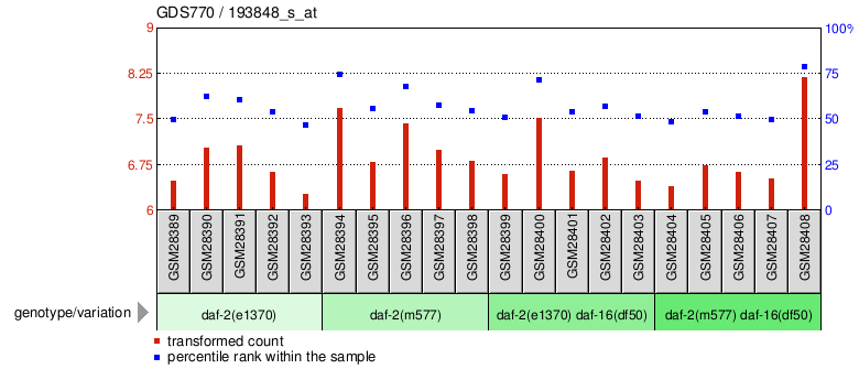 Gene Expression Profile