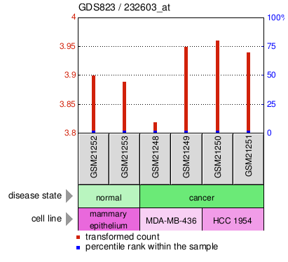 Gene Expression Profile