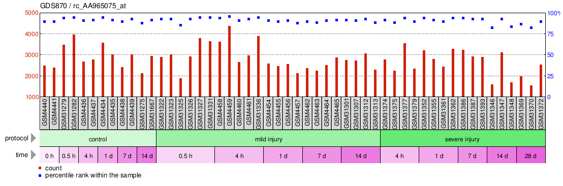 Gene Expression Profile