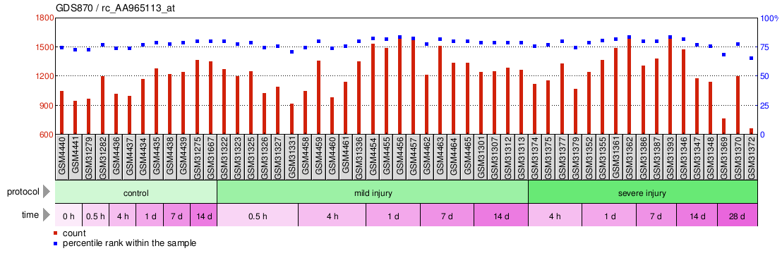 Gene Expression Profile