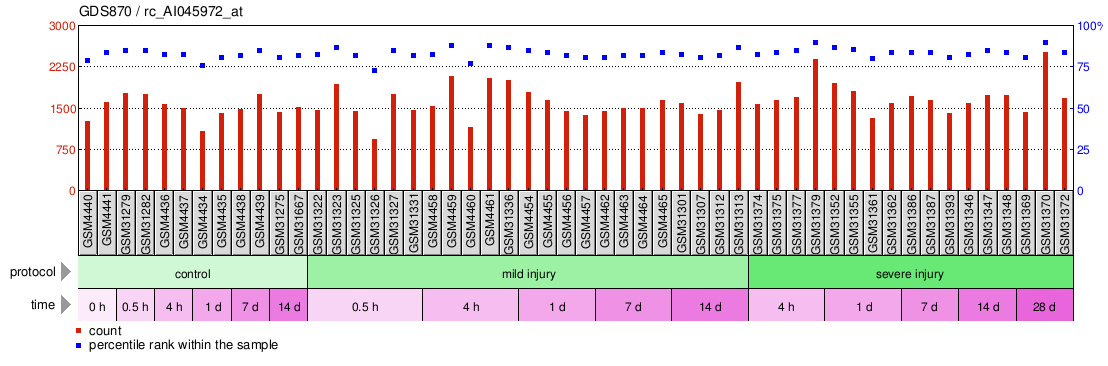 Gene Expression Profile