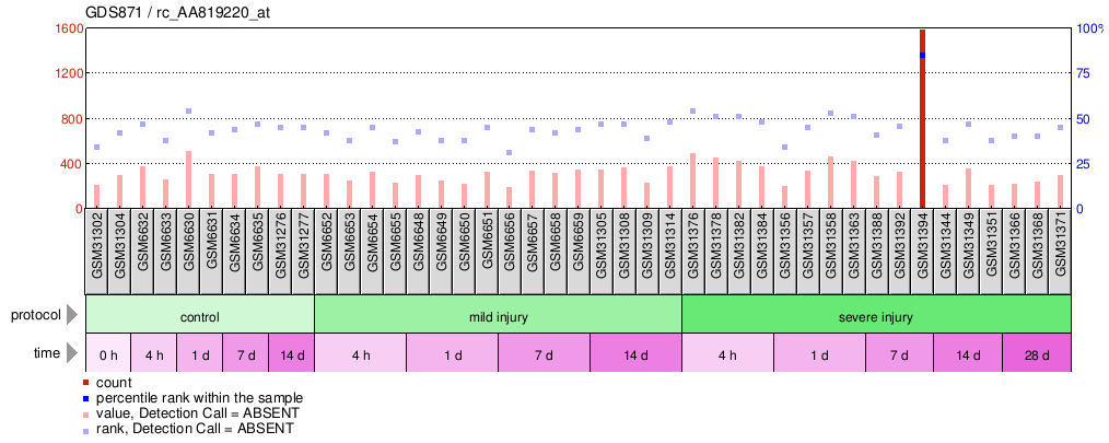 Gene Expression Profile