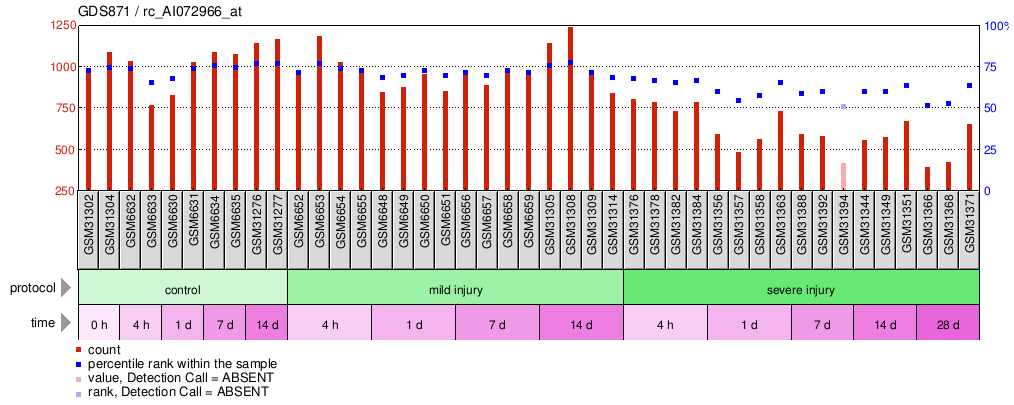 Gene Expression Profile