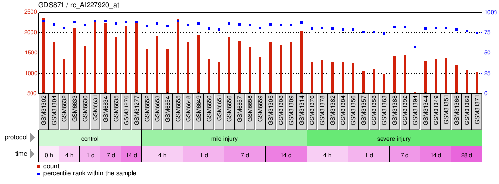 Gene Expression Profile