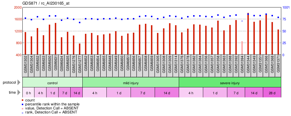 Gene Expression Profile