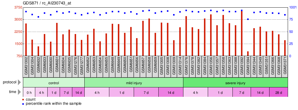 Gene Expression Profile