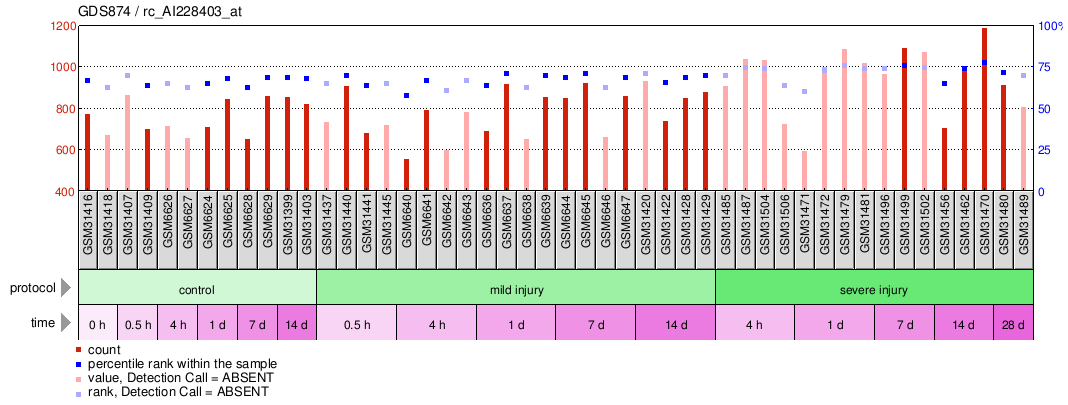 Gene Expression Profile