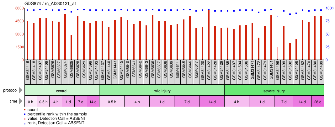 Gene Expression Profile