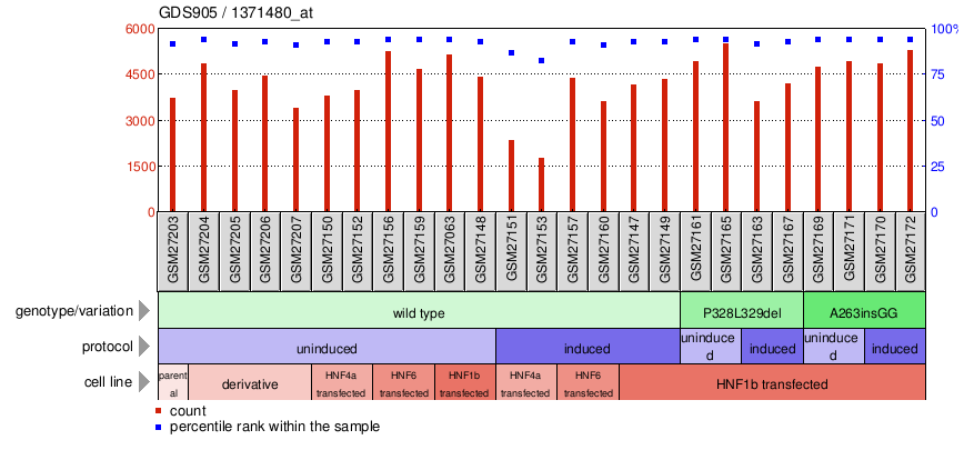 Gene Expression Profile