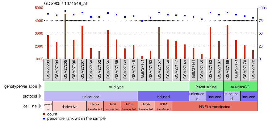 Gene Expression Profile