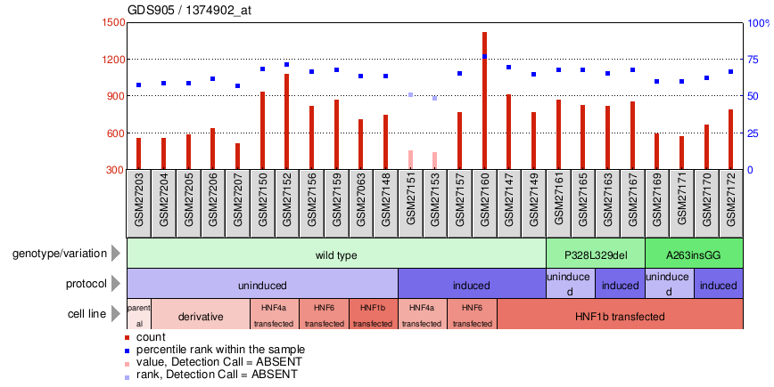 Gene Expression Profile