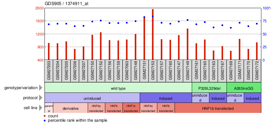 Gene Expression Profile