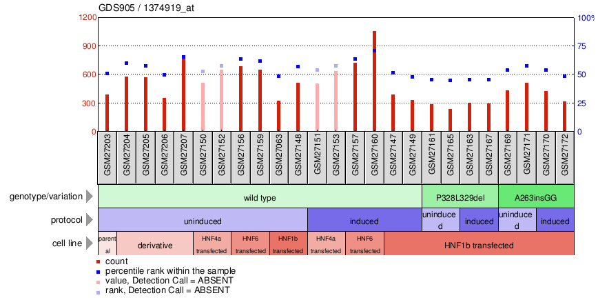 Gene Expression Profile