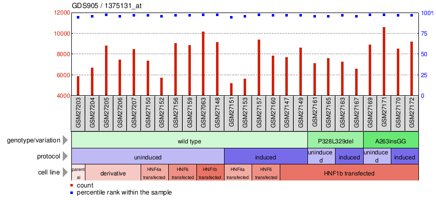 Gene Expression Profile