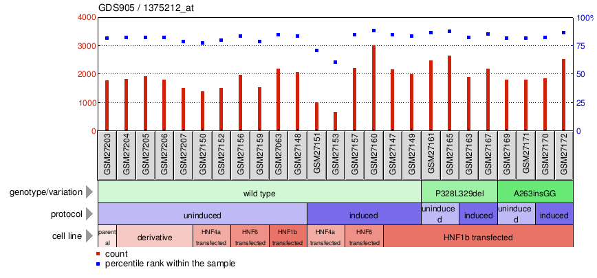 Gene Expression Profile