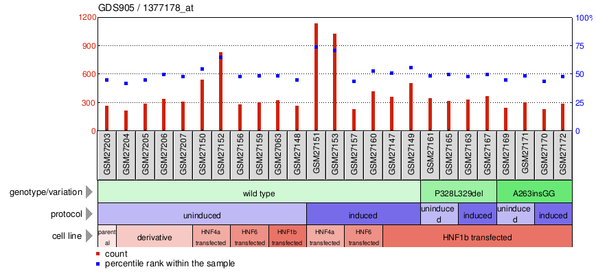 Gene Expression Profile