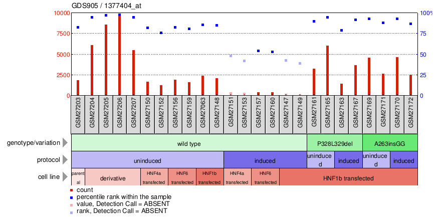 Gene Expression Profile