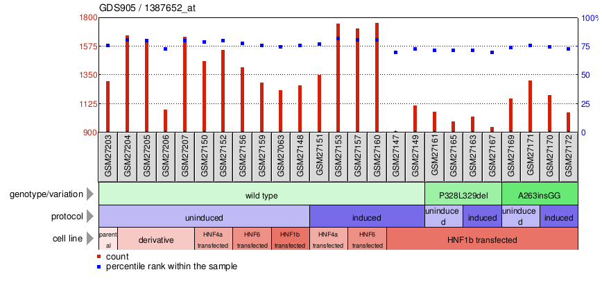 Gene Expression Profile