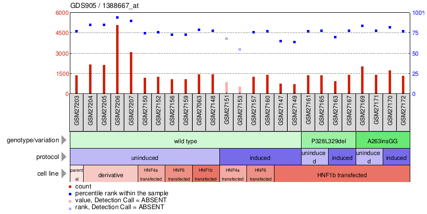 Gene Expression Profile