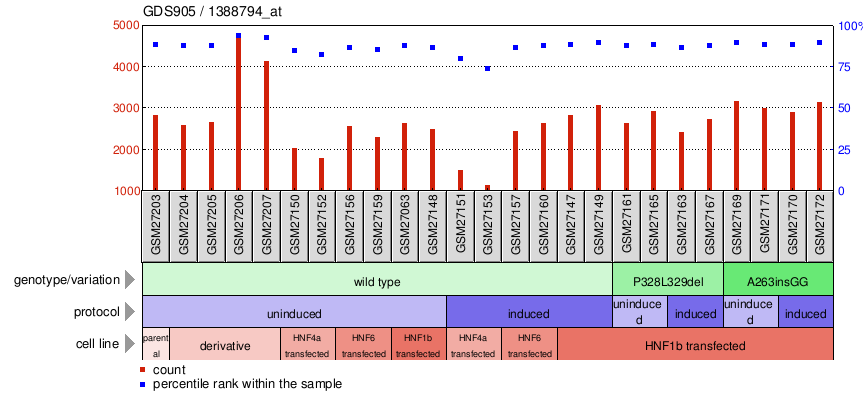 Gene Expression Profile