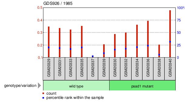 Gene Expression Profile