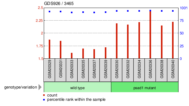 Gene Expression Profile