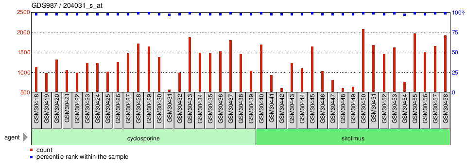 Gene Expression Profile