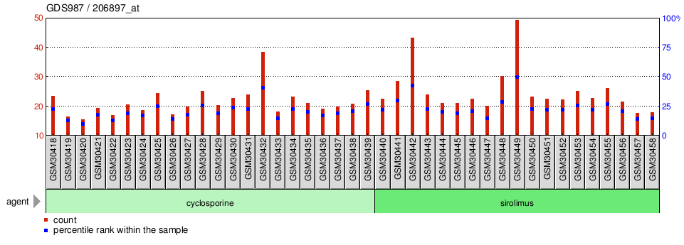 Gene Expression Profile