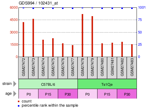 Gene Expression Profile