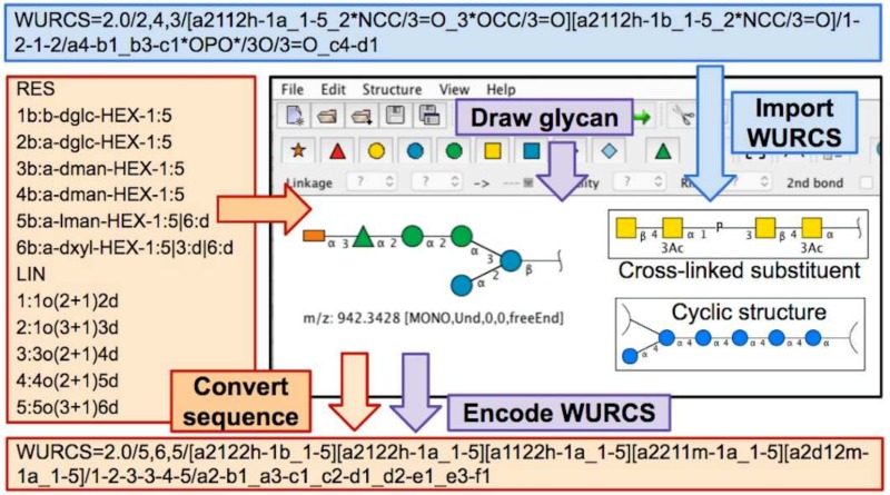 GlycanBuilder2-SNFG