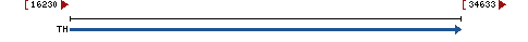 Genomic Context describing neighboring genes