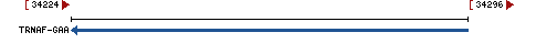 Genomic Context describing neighboring genes