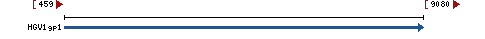 Genomic Context describing neighboring genes