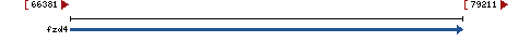 Genomic Context describing neighboring genes