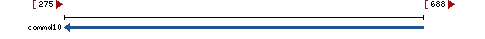 Genomic Context describing neighboring genes